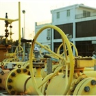 PV GAS huy động toàn thể hệ thống đảm bảo hoạt động cấp khí an toàn, ổn định, liên tục trong dịp Tết Nguyên đán Ất Tỵ 2025