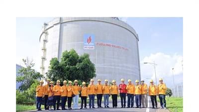 Đảng ủy Chính phủ khảo sát thực tiễn mô hình tổ chức đảng tại Đảng bộ Petrovietnam