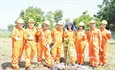 NCSP và PV GAS D chung tay phủ xanh không gian sống