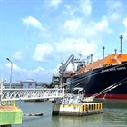 PV GAS 6 tháng đầu năm 2026: Hoàn thành kế hoạch lợi nhuận và nộp ngân sách cho cả năm, duy trì nguồn cung khí đảm bảo an ninh năng lượng quốc gia