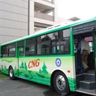 Khí thiên nhiên nén (CNG)