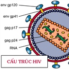 Khí Cà Mau hưởng ứng tháng hành động phòng chống HIV/AIDS