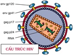 Khí Cà Mau hưởng ứng tháng hành động phòng chống HIV/AIDS