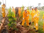 Công ty Vận chuyển Khí Đông Nam Bộ tổ chức Tết trồng cây năm 2011