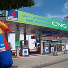 Triển khai sử dụng CNG cho giao thông vận tải trong ngành Dầu khí