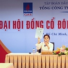 PetroVietnam Gas JSC organized the extraordinary general meeting of shareholders in 2012