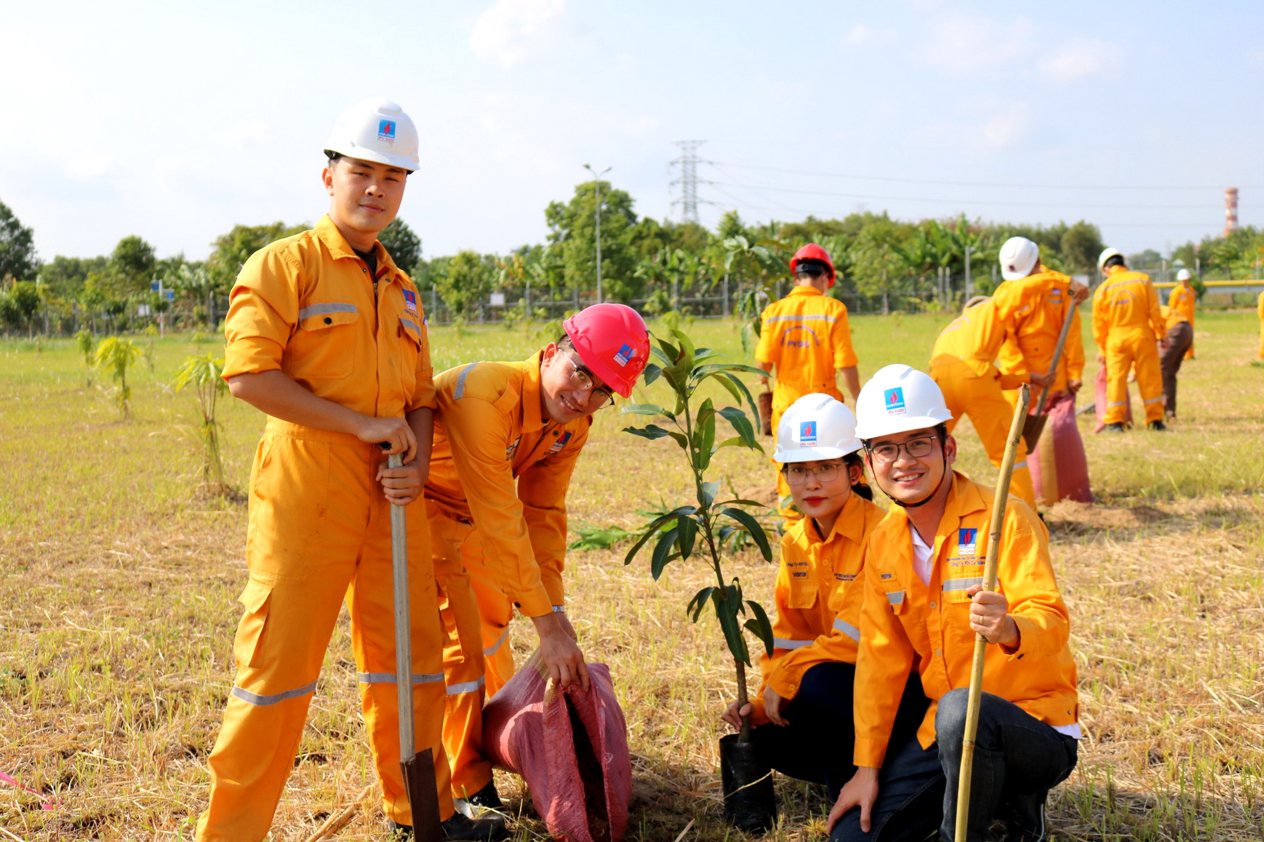 Chia sẻ niềm vui vì Môi trường xanh