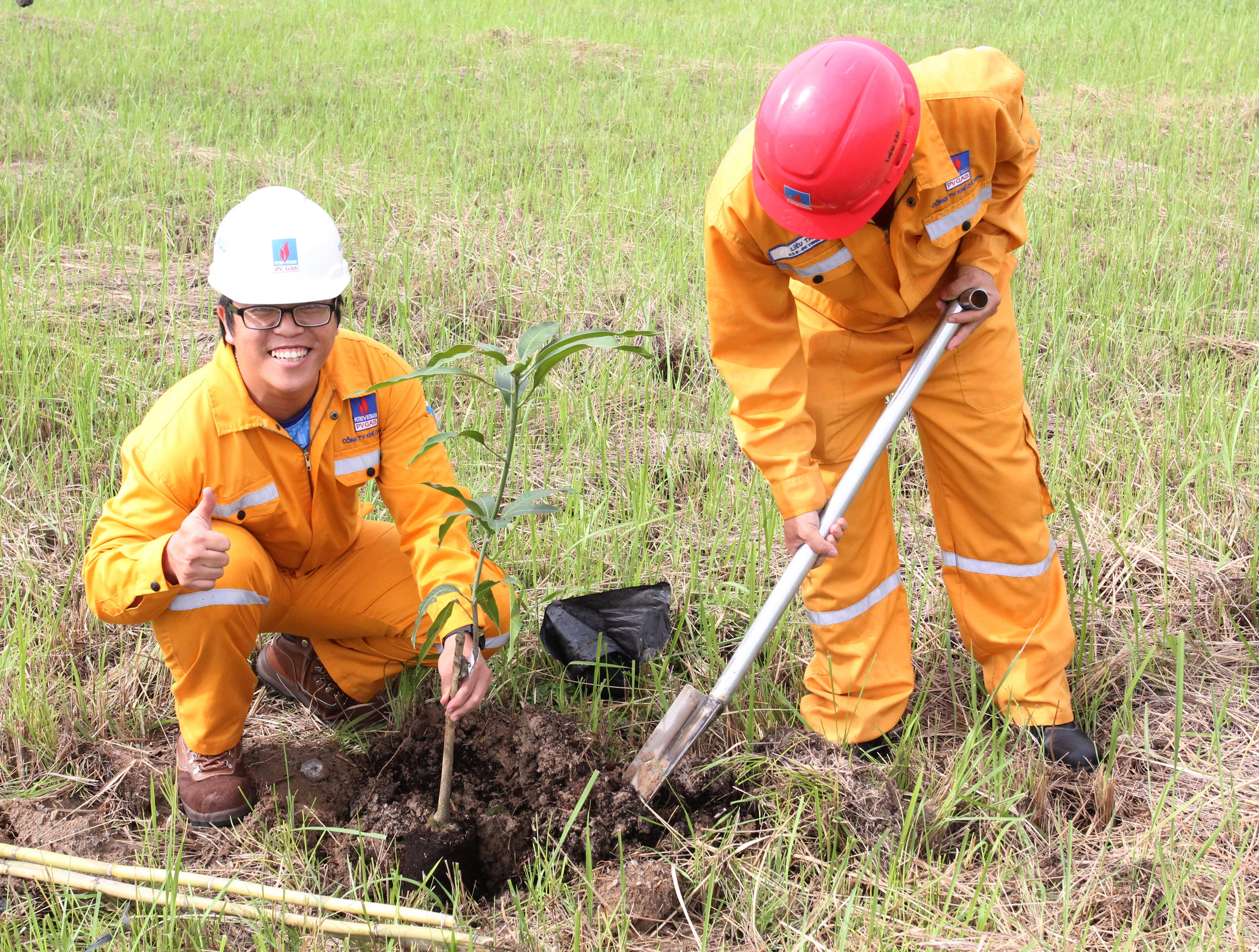 Tích cực triển khai phong trào trồng cây xanh, phủ xanh công trình khí và làm đẹp cảnh quan địa phương