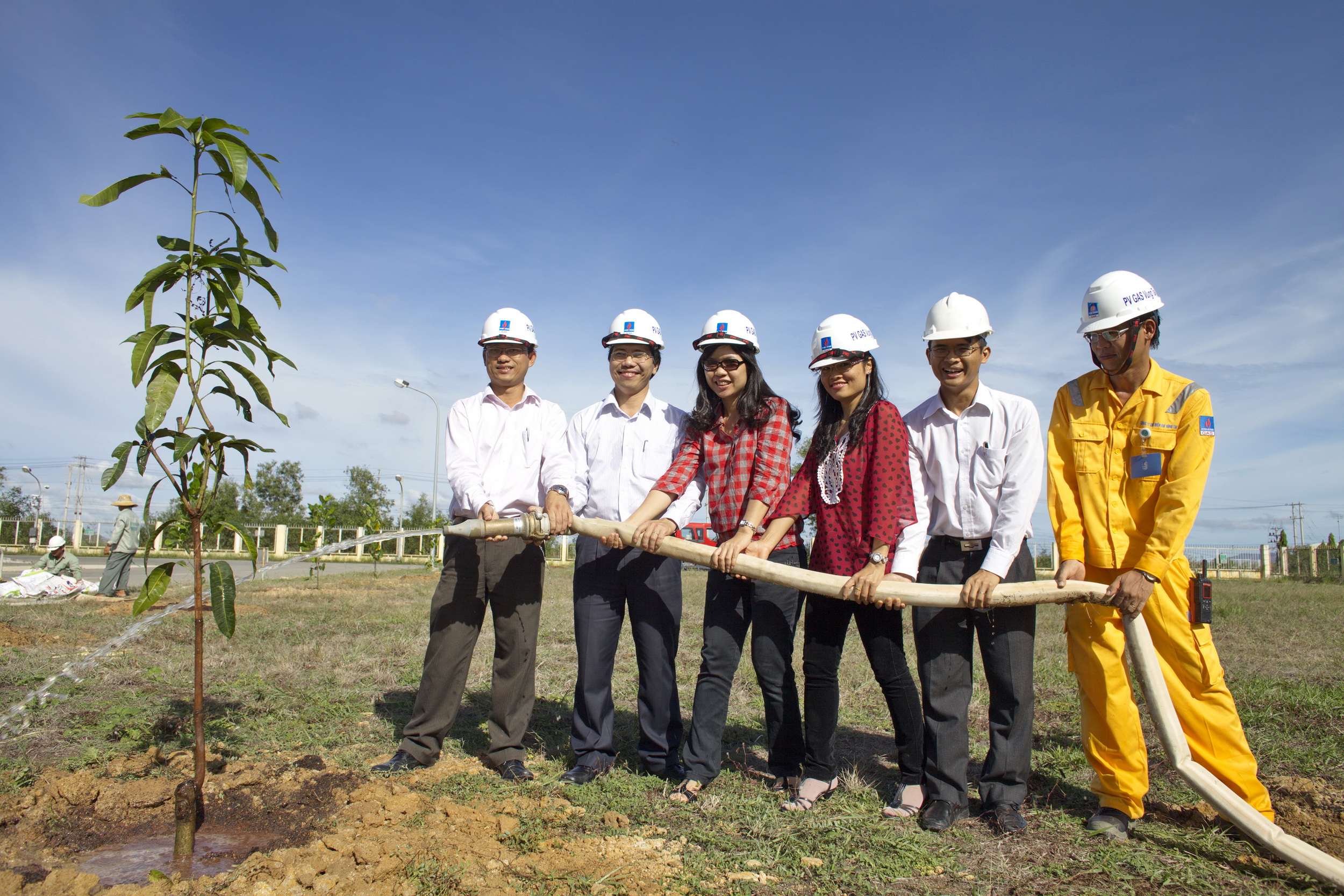 Chung tay trồng cây phủ xanh công trình khí và vùng dân cư