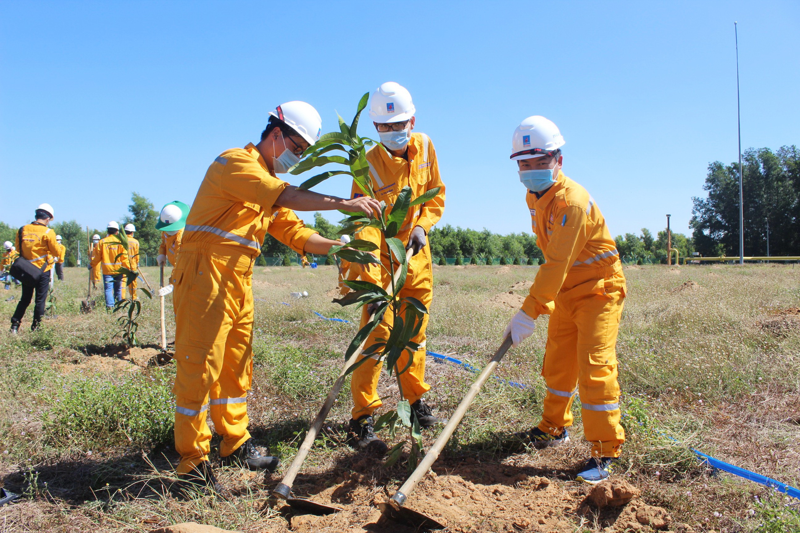 Tích cực trồng cây phủ xanh công trình khí