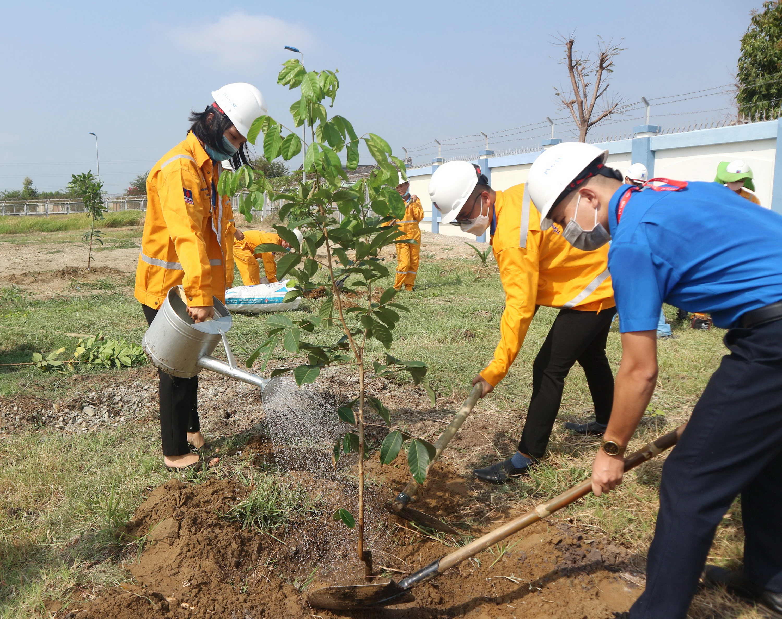 KĐN tham gia trồng cây, làm đẹp cảnh quan công trình khí và tham gia bảo vệ môi trường